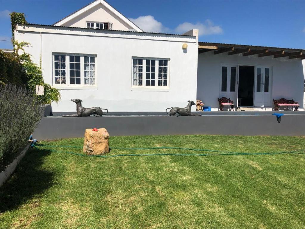 بليتنبيرغ باي De La Fontaine Guest Cottage And Pool View Luxury Suite المظهر الخارجي الصورة